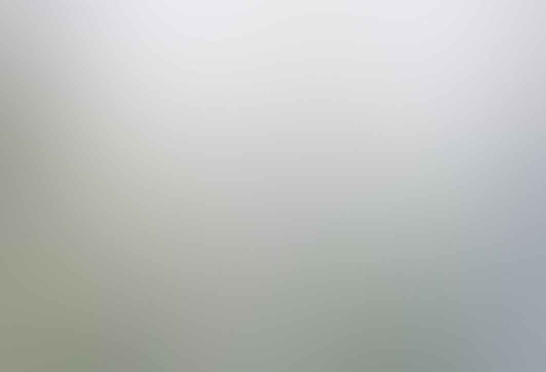 Light Grey Background